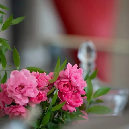 Hotel Manoir De La Roseraie - Les Collectionneurs 4*